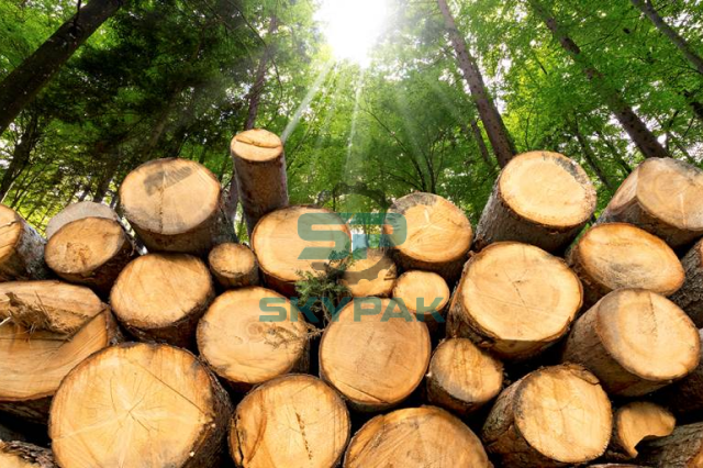 Selection of materials for the wood pallet production process