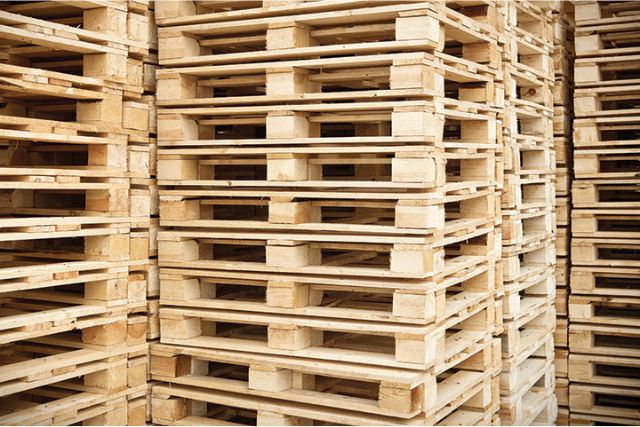 EPAL đã duy trì sự tăng trưởng liên tục hoạt động sản xuất pallet gỗ