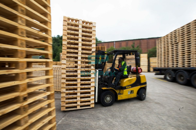 tuổi thọ của pallet gỗ