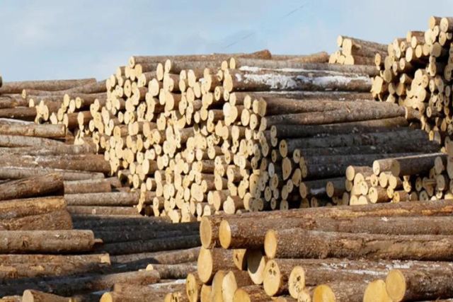 Trong bối cảnh thị trường gỗ toàn cầu bị ảnh hưởng bởi lạm phát, thị trường gỗ Trung Quốc cũng gặp khó khăn do nhu cầu hạn chế và lượng nhập khẩu giảm.