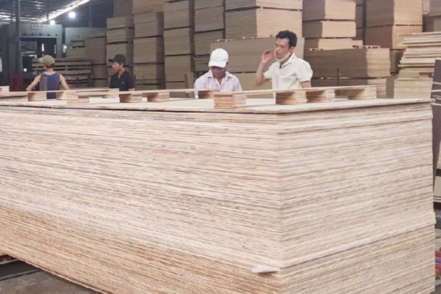 Ngành gỗ dán đang chịu sự cạnh tranh từ nhiều nước.