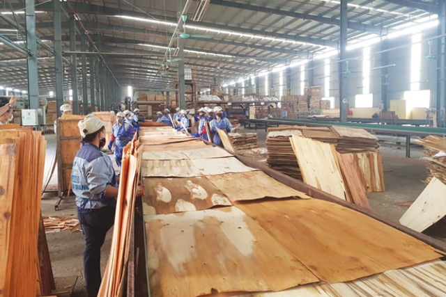Ngành gỗ dán cần phải phải thích ứng với môi trường thương mại đang thay đổi.