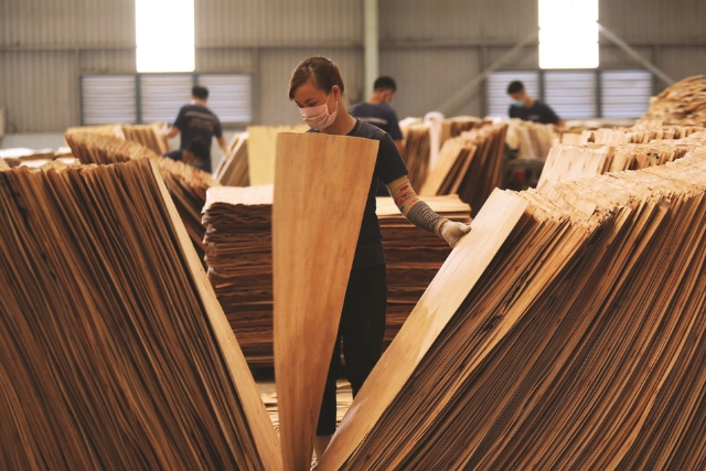 Công nghiệp ngành chế biến gỗ đang phát triển theo chiều hướng đáp ứng được các mục tiêu của KTTH.