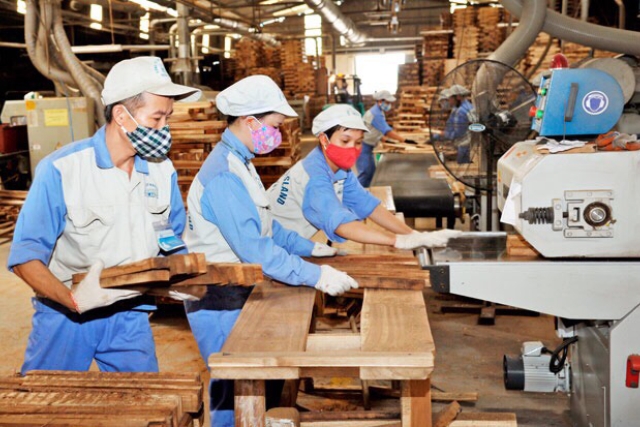 Phát triển kinh tế tuần hoàn trong ngành chế biến gỗ.
